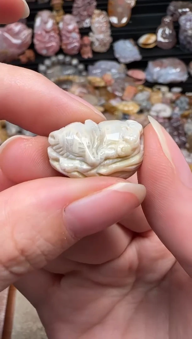 颈饰未镶嵌硅化珊瑚（珊瑚玉）784