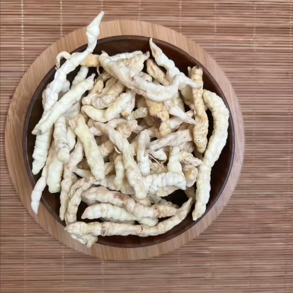 【村花】云南正宗白虫草下山好货虫草
