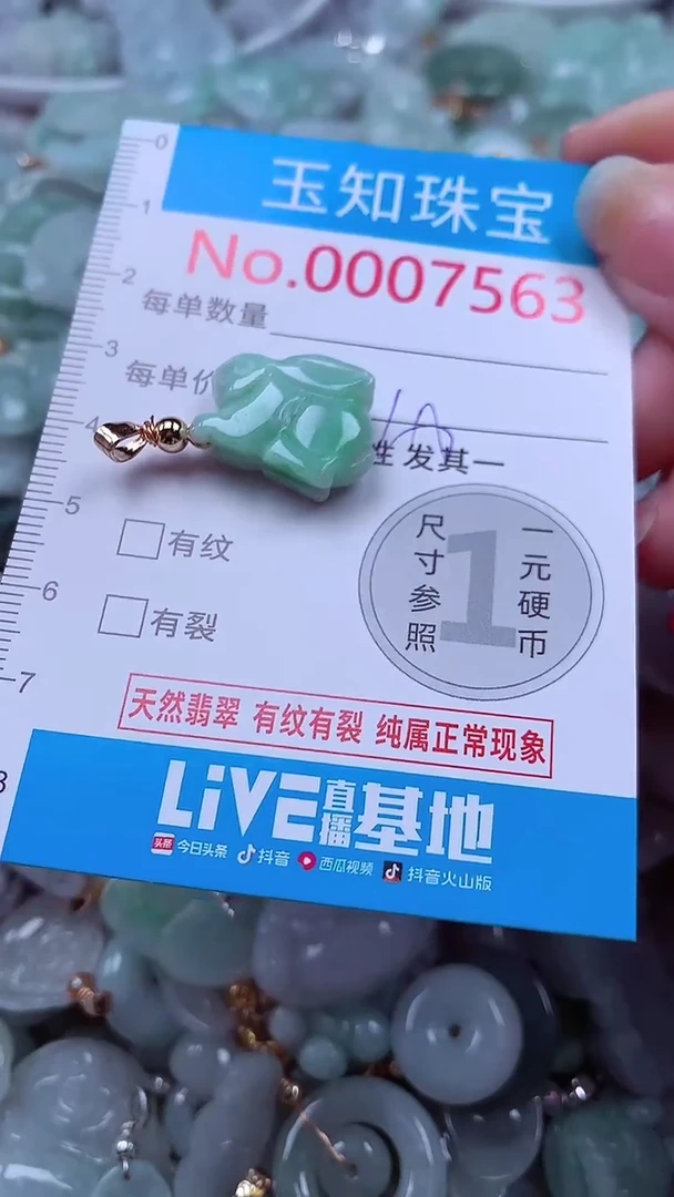 吊坠(不含链)未镶嵌翡翠7563