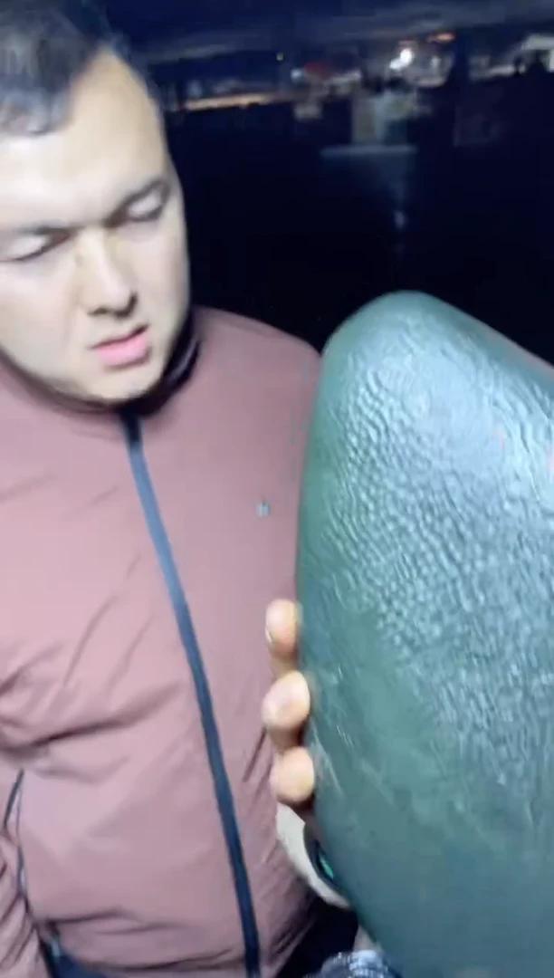 未镶嵌和田玉珠宝奇石原石