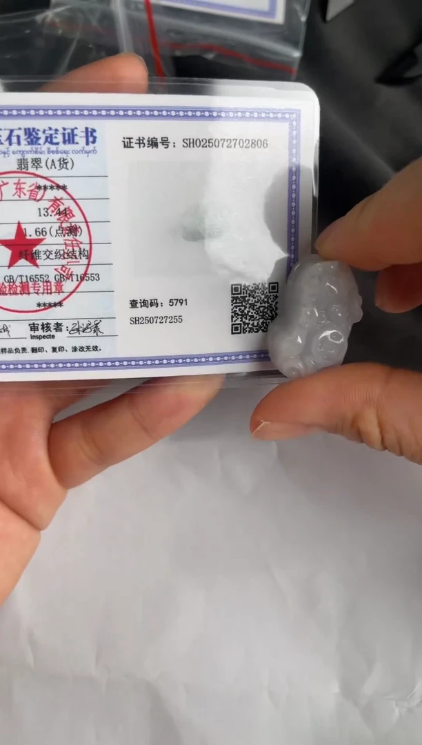 翡翠未镶嵌颈饰貔貅