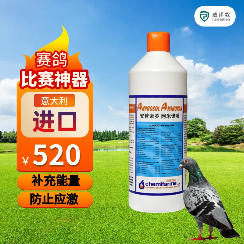 威泽牧阿米诺潘1000ml意大利原装进口鸽子专用