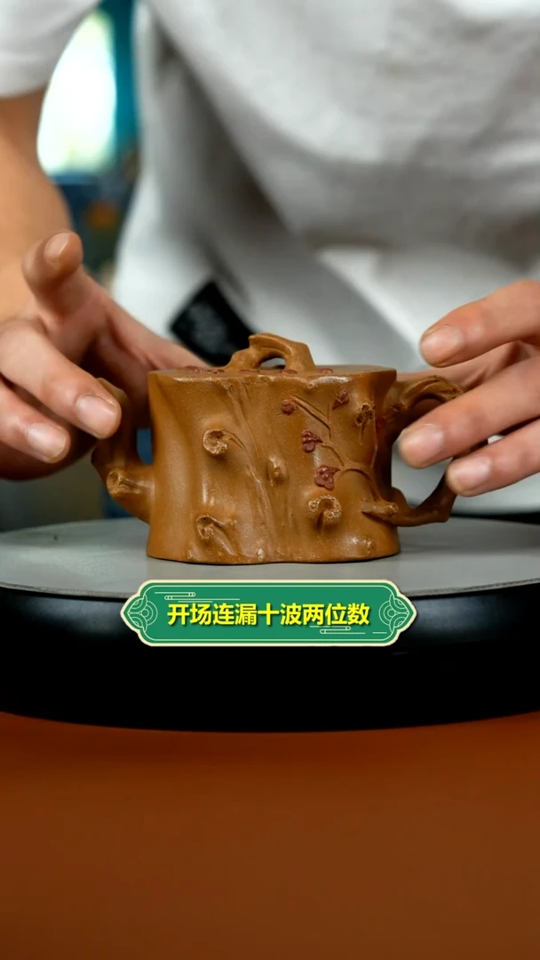 茶壶紫砂蒋静明老段泥梅花树桩220CC