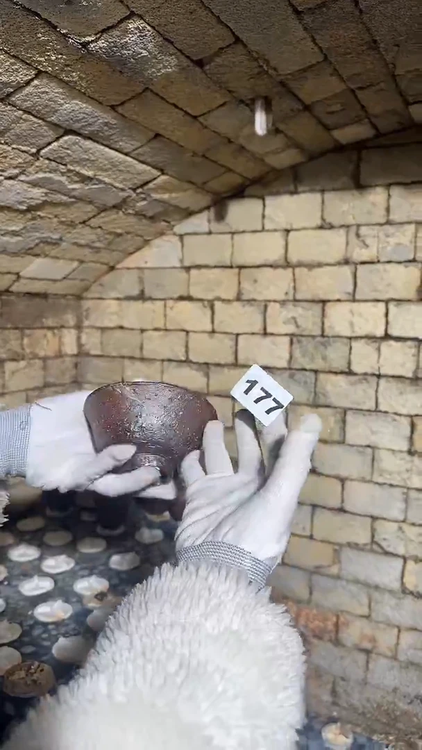 【闪购商品】瓷片见山北野见山北野