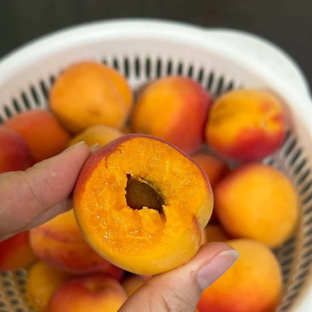 【3斤±50g】临汾高山蜜杏3斤（小果，口感好）