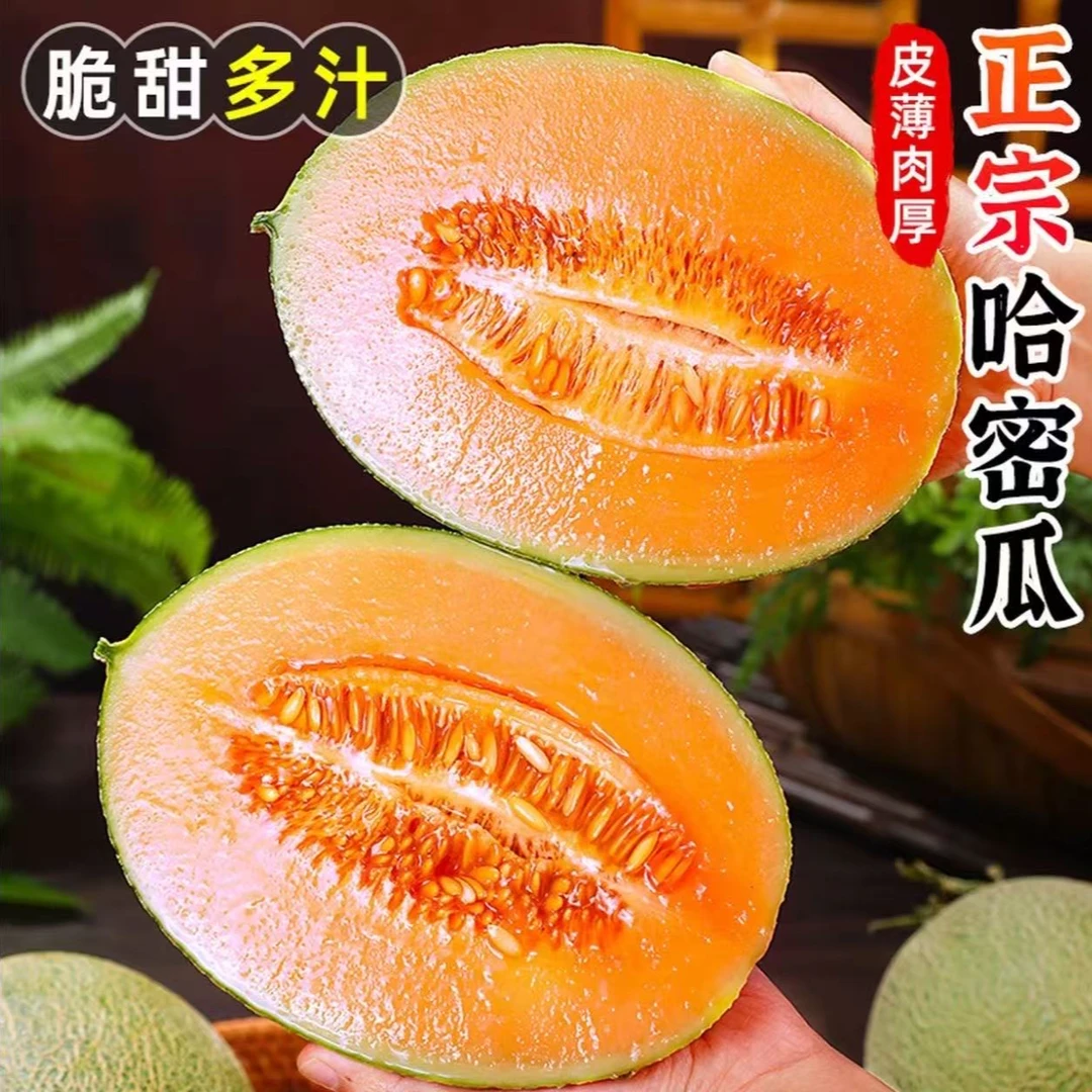 【哈密瓜】脆甜多汁 2颗装/3颗装云南省