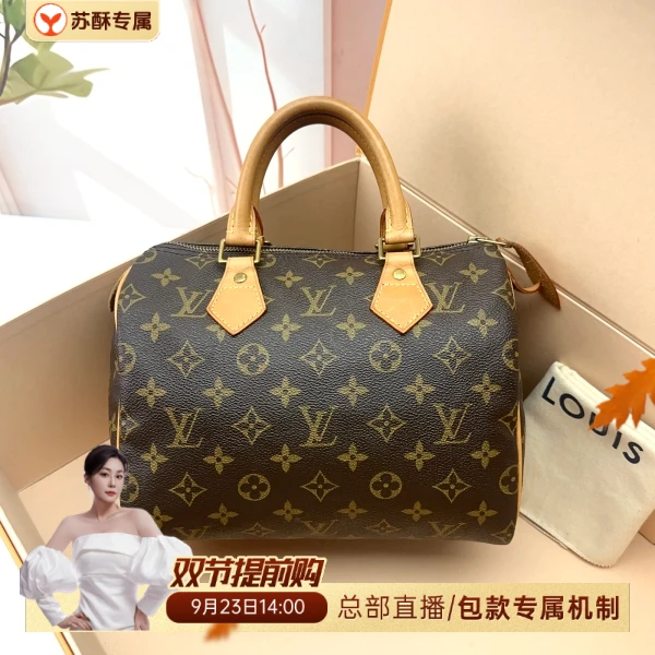 手提包/路易威登/95新/C538060117/250923WY0018