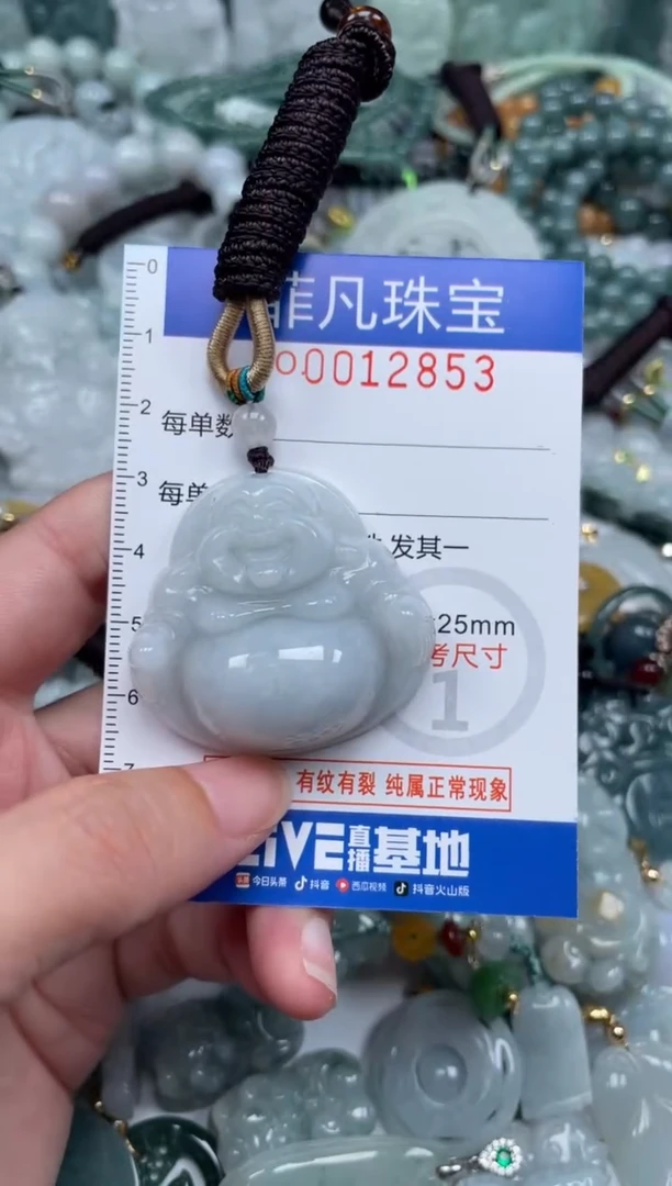 颈饰未镶嵌翡翠12853