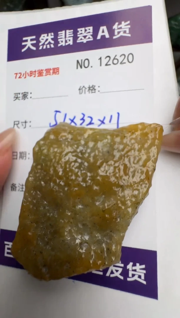 【闪购商品】翡翠颈饰未镶嵌原石12620