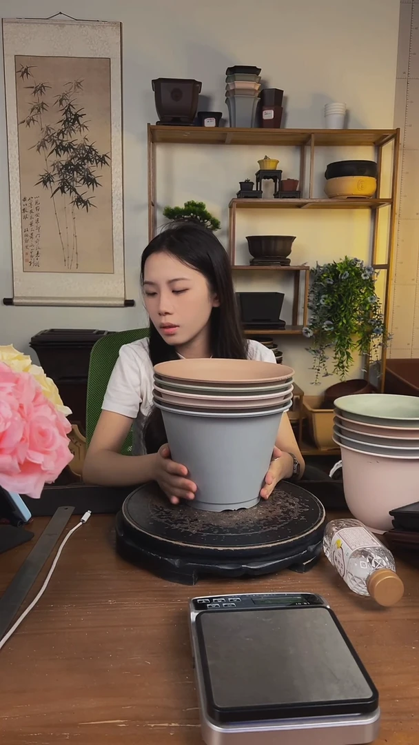 22*16双沿盆 马卡龙色系5只