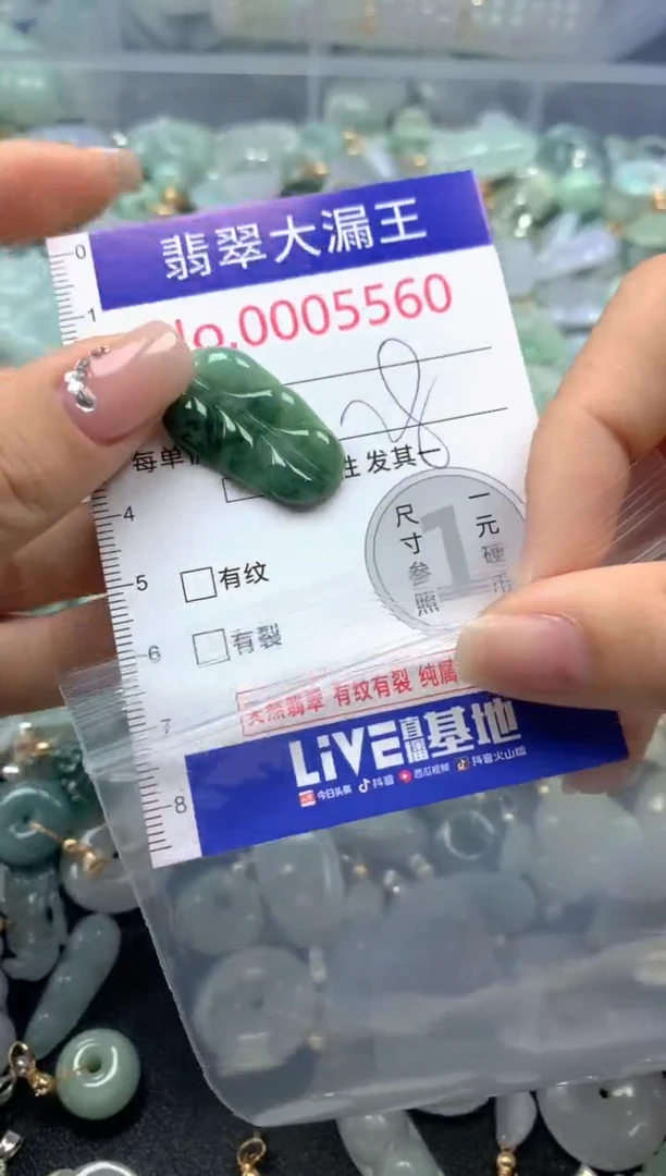 颈饰未镶嵌翡翠5560