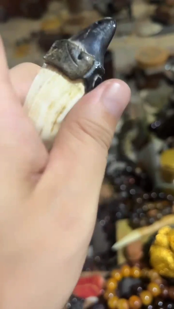 紫砂紫砂紫砂紫砂紫砂紫砂