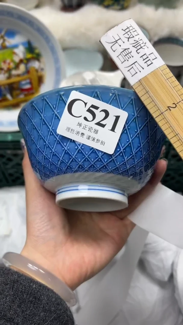 【闪购商品】瓷片          C521