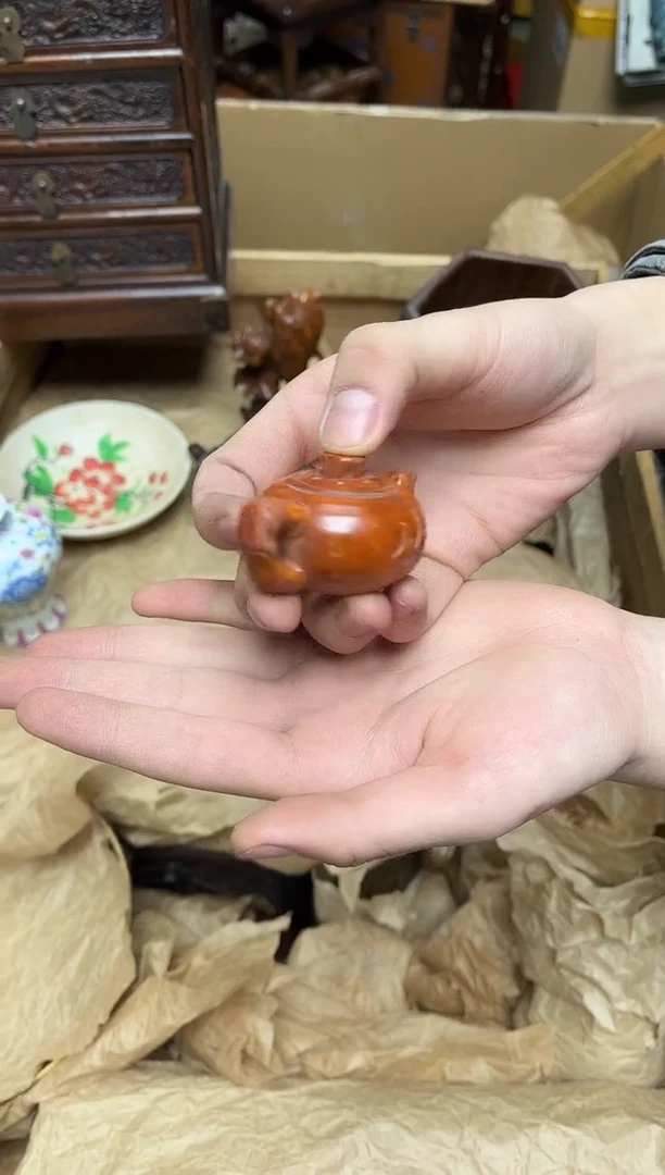 黄杨木八号甄选八号甄选