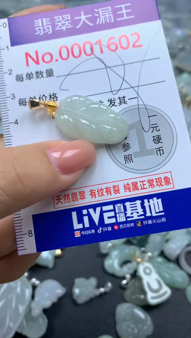 颈饰未镶嵌翡翠1602