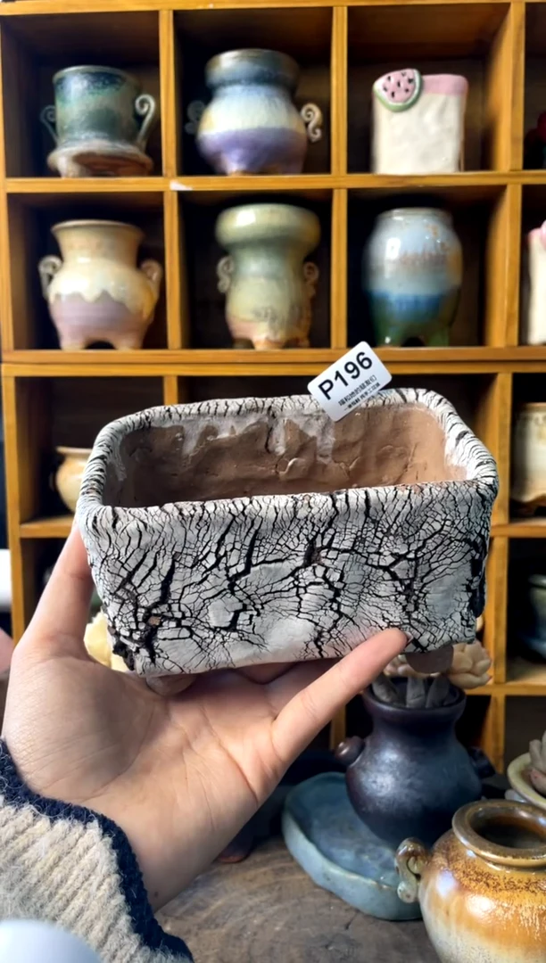 196长12.5【多肉花盆多肉盆】