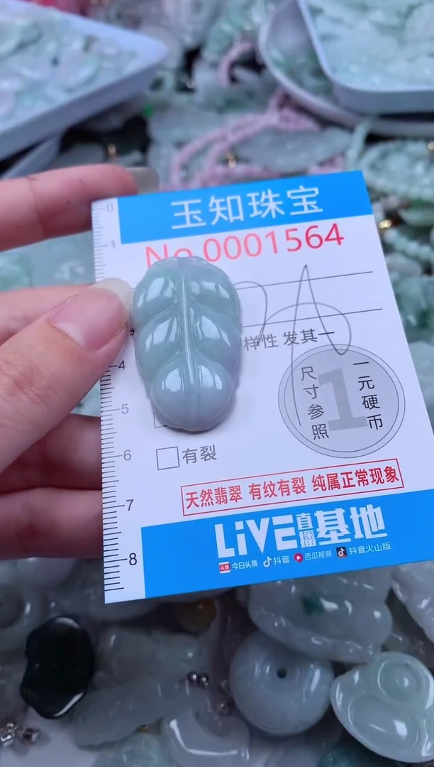 翡翠未镶嵌吊坠(不含链)1564