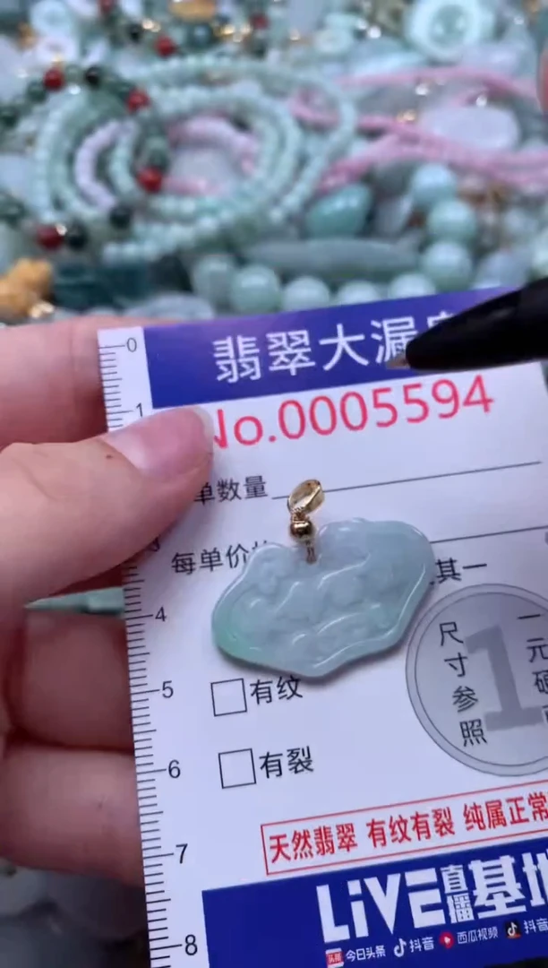 翡翠未镶嵌颈饰5594