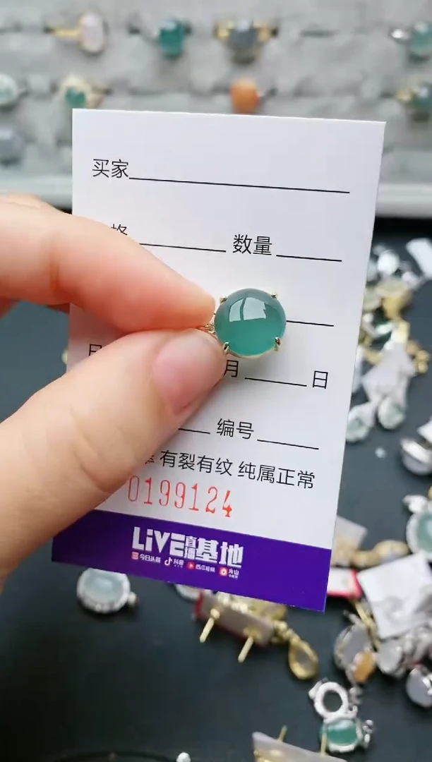 翡翠银S925镶嵌颈饰.