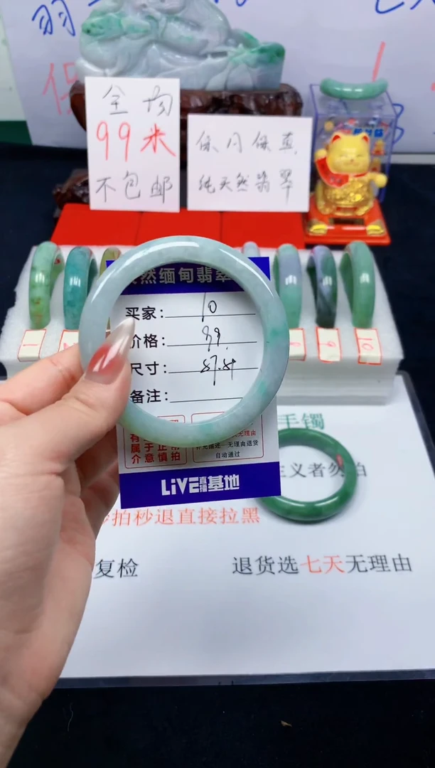 未镶嵌手镯翡翠10