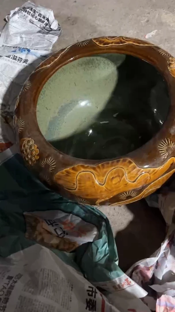 【闪购商品】5155454545445454545