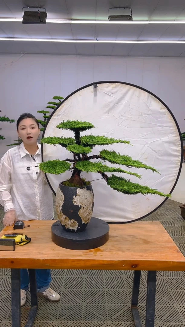 无花朵一物一拍一物一拍