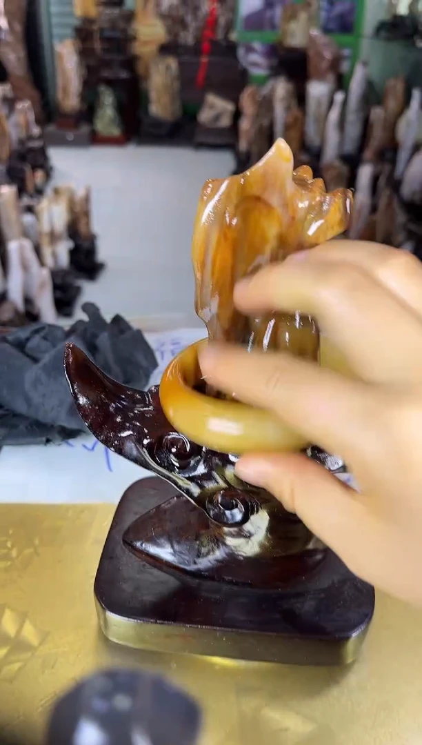 未镶嵌珠宝奇石硅化玉缅甸天然树化玉精品居家摆件