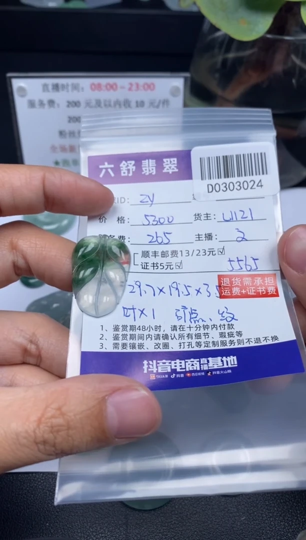 【闪购商品】翡翠吊坠(不含链)未镶嵌D0303024