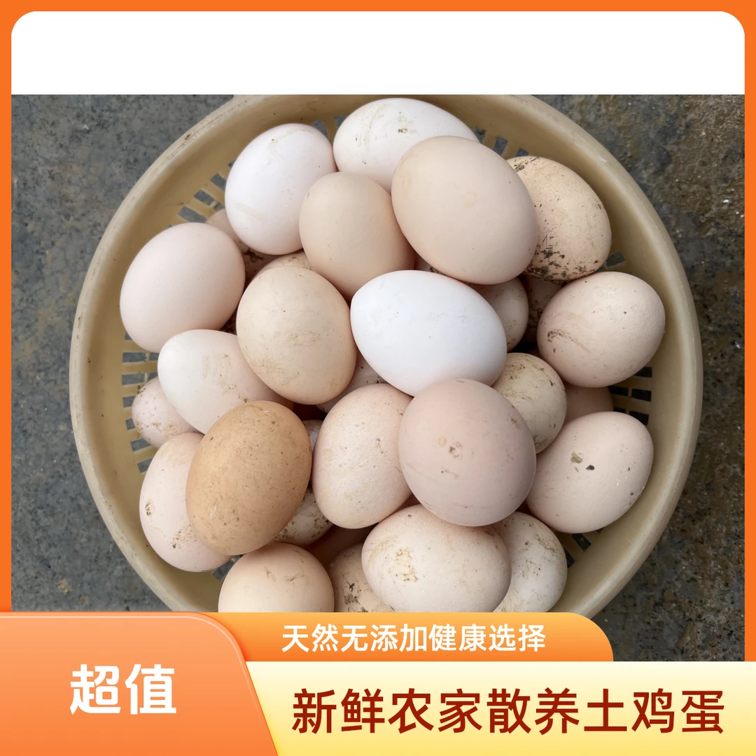 贵州自家散养乌骨鸡散养鸡蛋