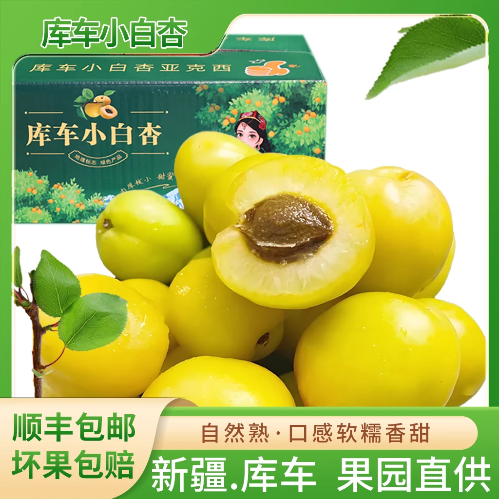 新疆小白杏新鲜杏子库车小白杏子自然熟新鲜水果礼盒