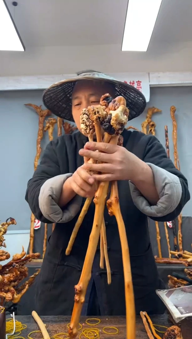 【闪购商品】黑果木其他黑果木568