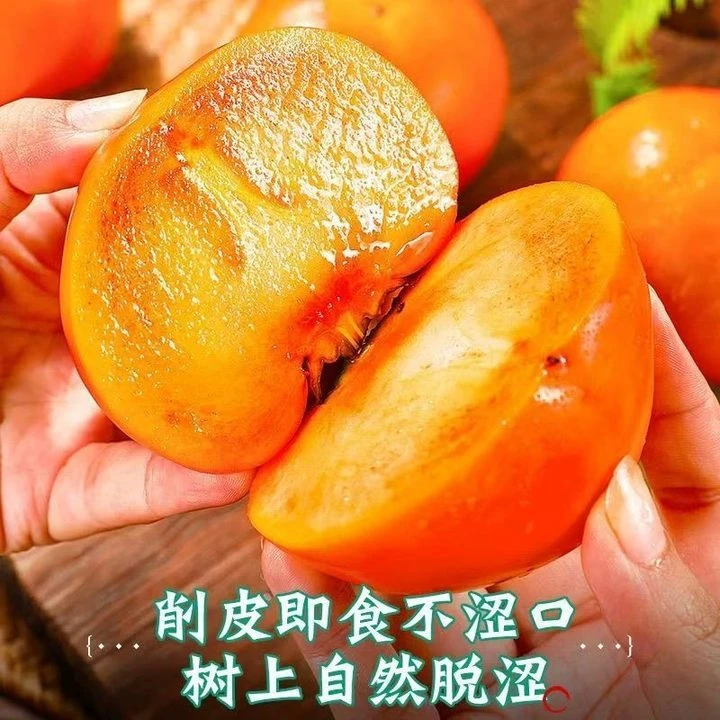 5斤陕西阳丰巧克力脆柿子新鲜水果脆甜硬柿子应季脆皮柿子甜脆柿