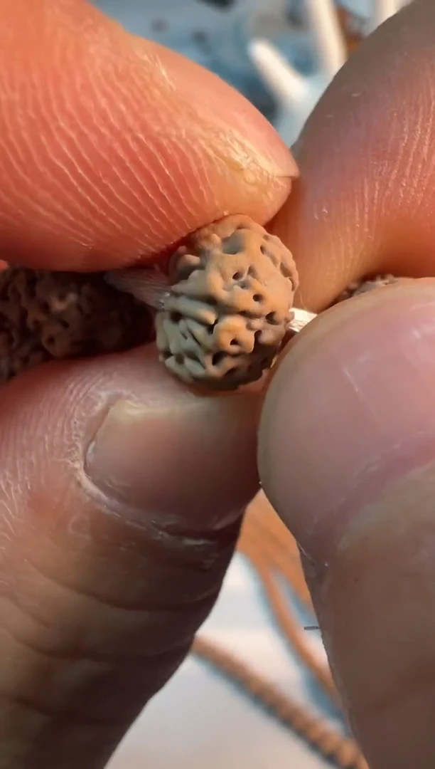 【闪购商品】金刚菩提手串灰皮勿里达纯血老树王密封包装