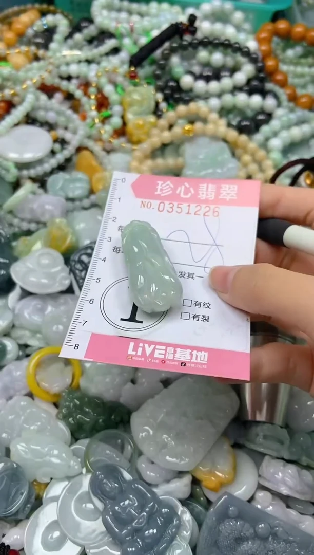 颈饰未镶嵌翡翠闪购0351226