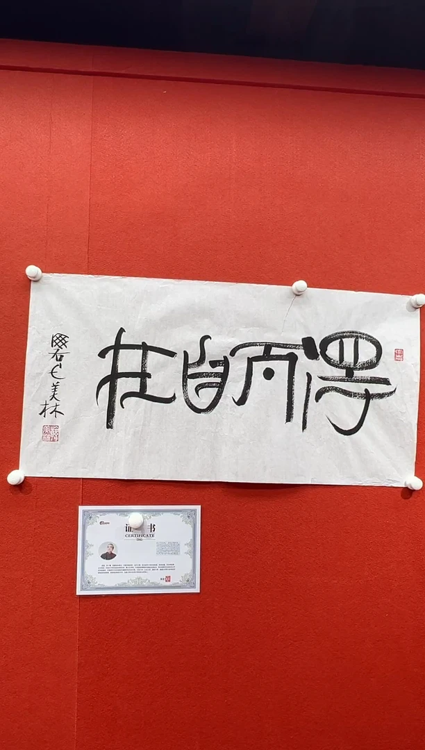 书法振**揚复星书画精选作品