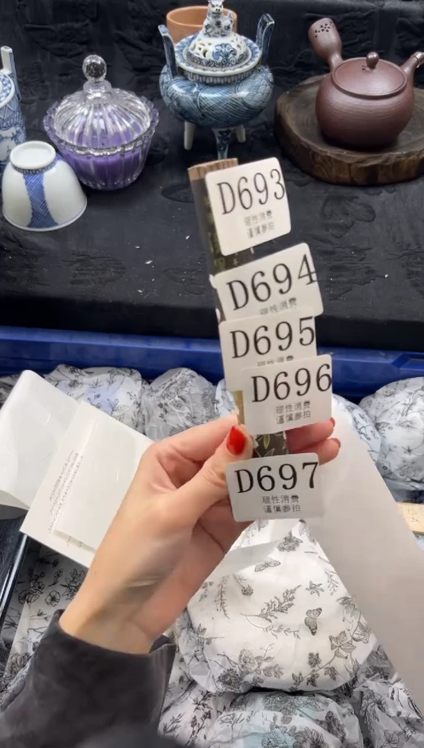 瓷片       D695