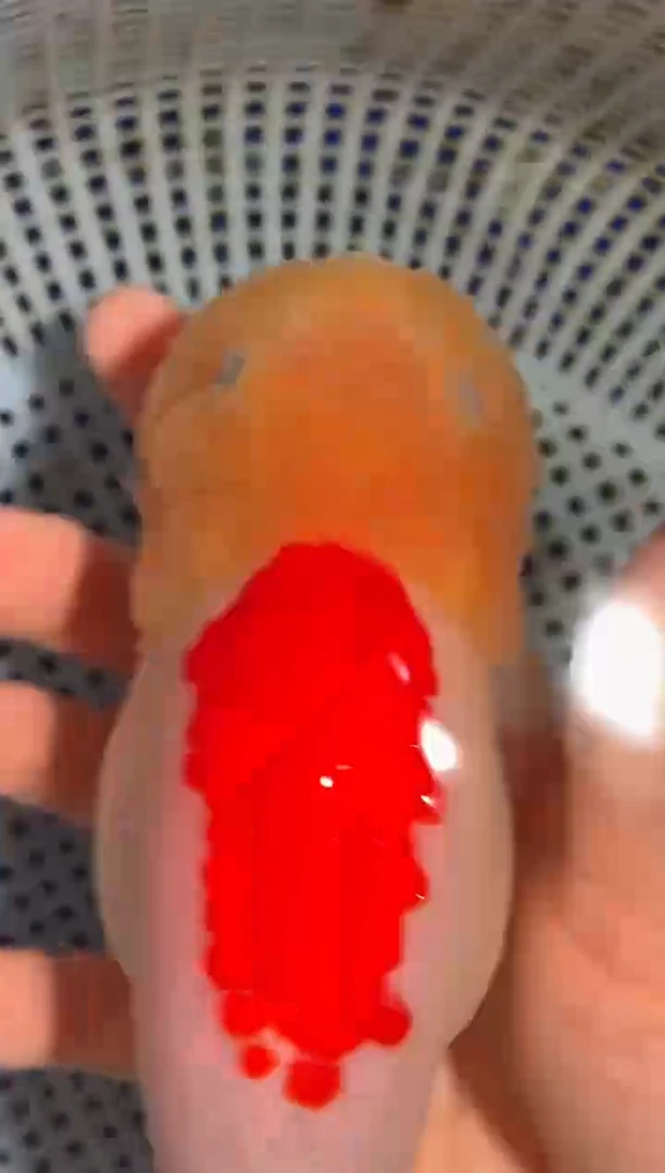 金鱼（运费自理，马印灯照射）福州追鱼兰寿金鱼