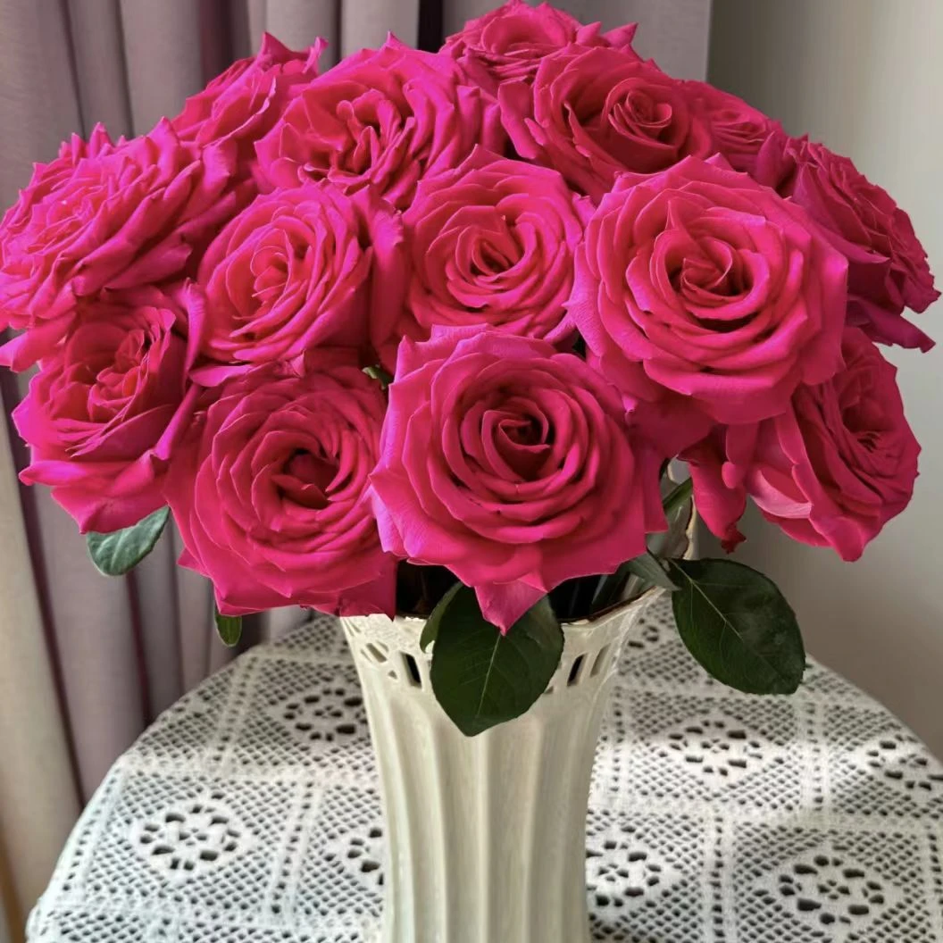 YZ【弗洛伊德玫瑰10支】