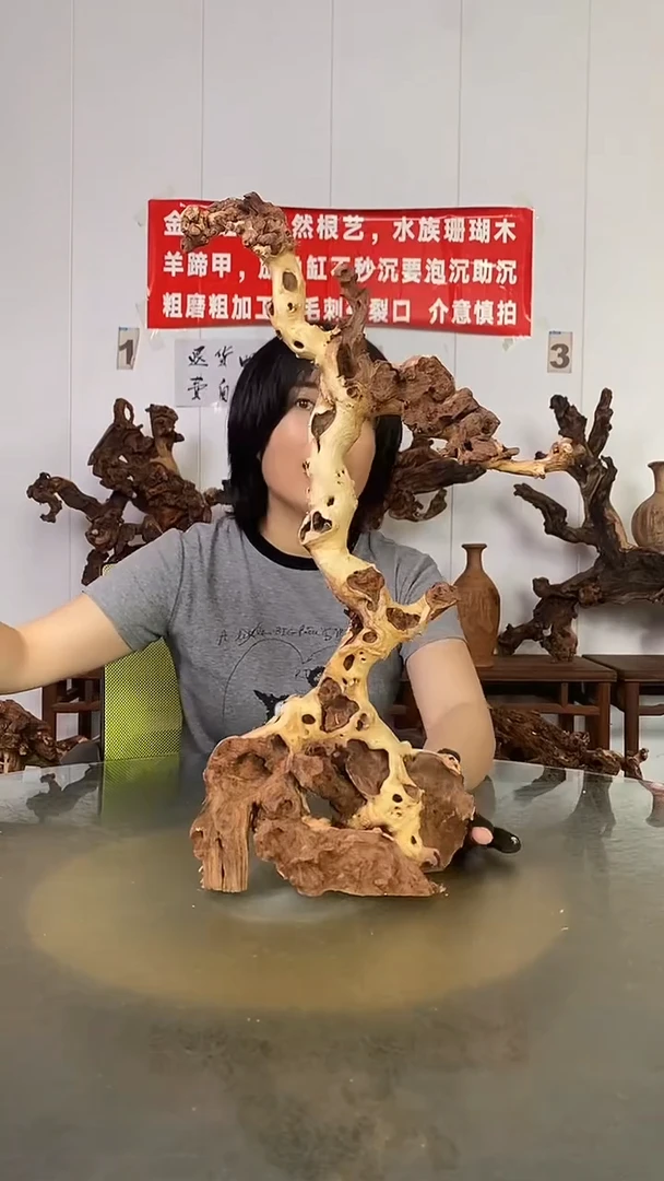 香榧木新****馆金丝红木   羊蹄甲