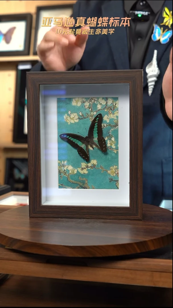 青凤蝶8寸复古框腊梅款