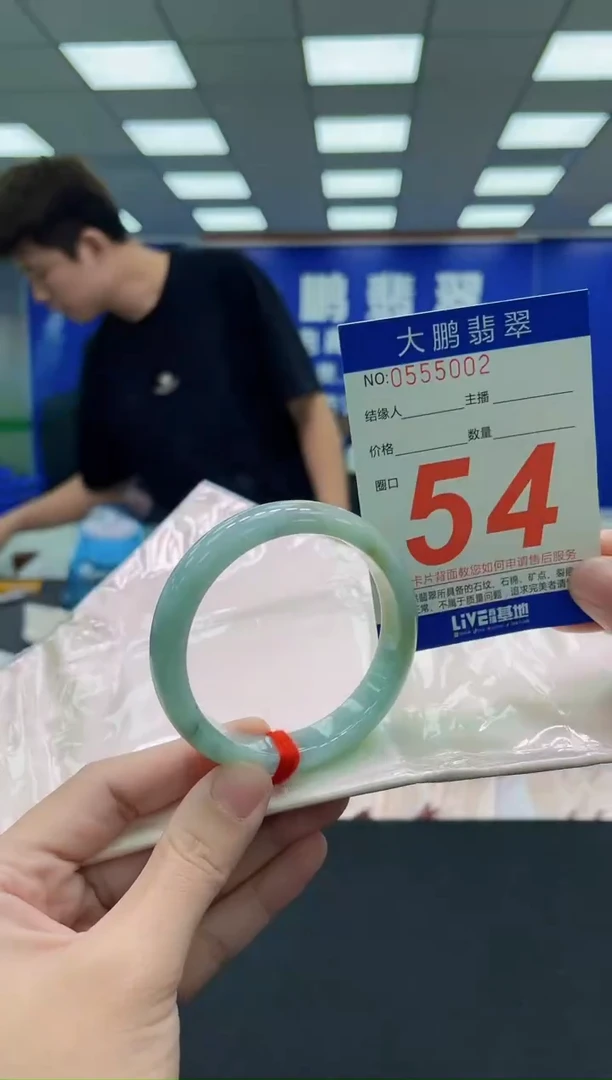 未镶嵌手镯翡翠AAAAAAAAA