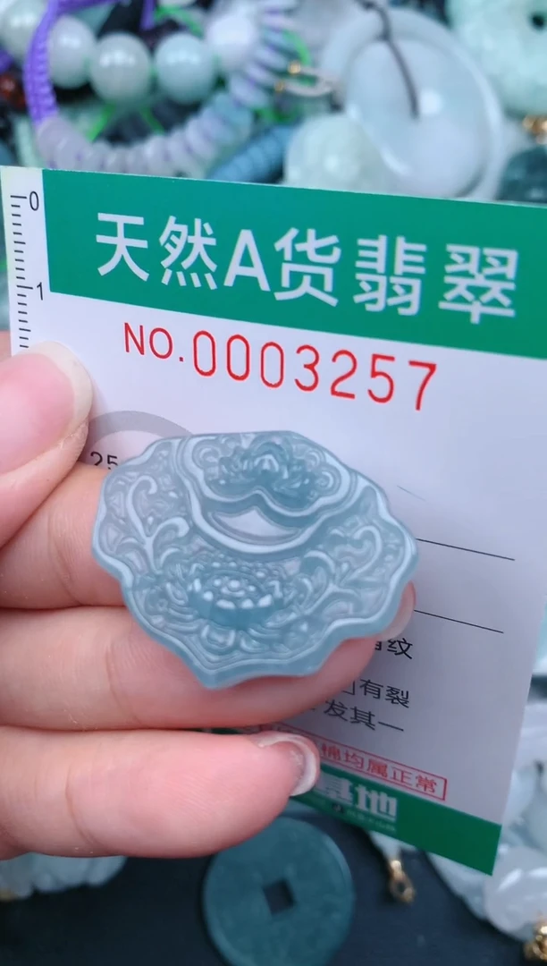 翡翠未镶嵌颈饰.0003257