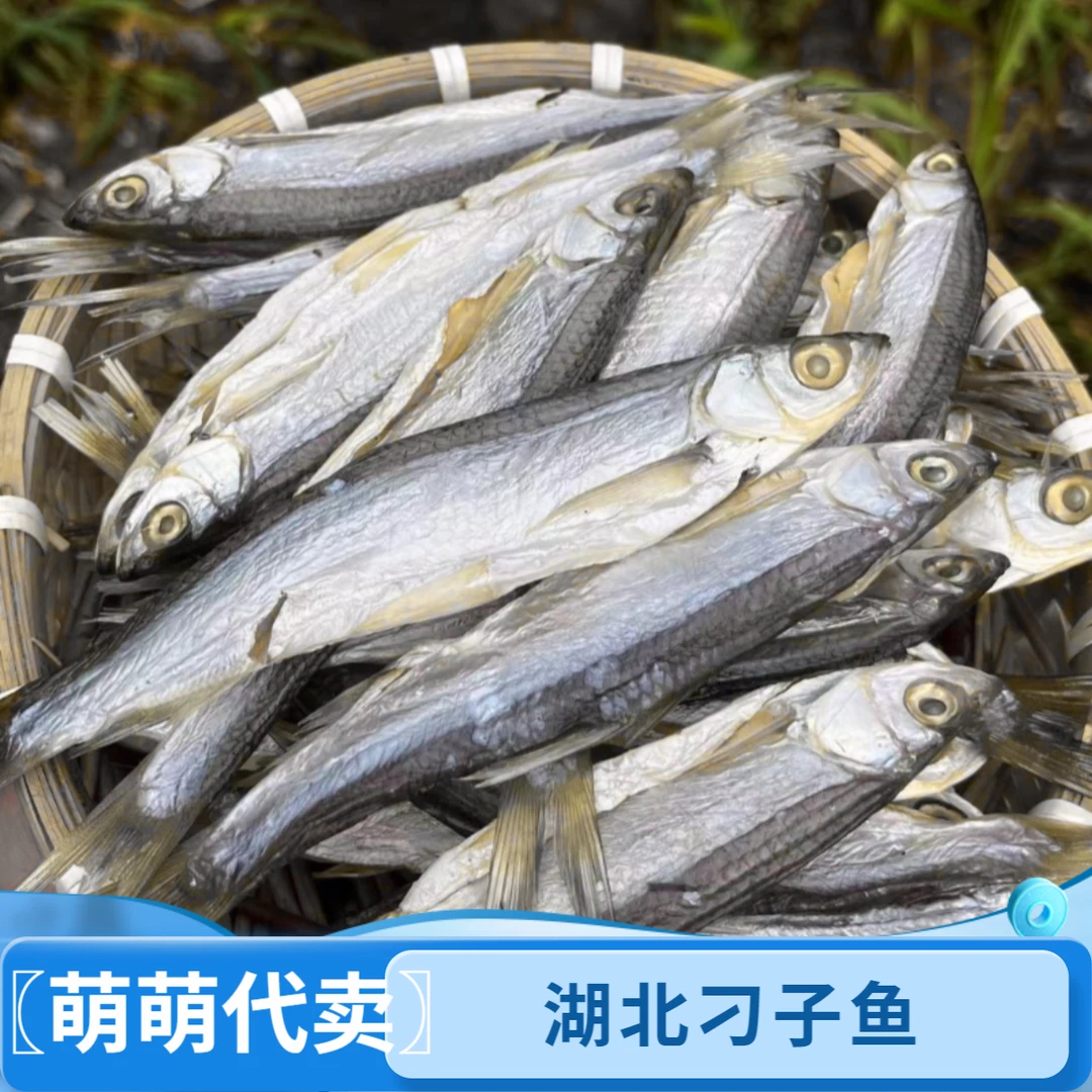 〖萌萌代卖〗刁子鱼鱼干干货湖北特色自晒淡水鱼小鱼仔腌制翘嘴包邮