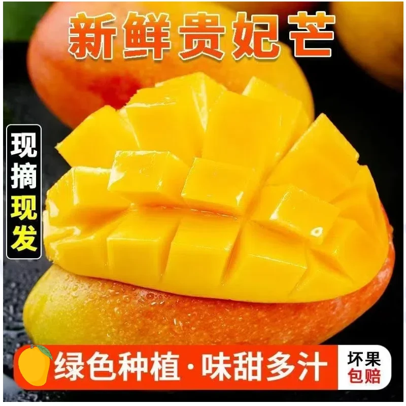 【核薄肉厚】正宗高品质海南贵妃芒 5斤带箱发货 新鲜水果