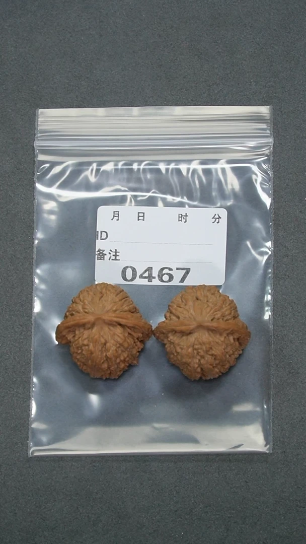 【闪购商品】文玩核桃把件36红宝石