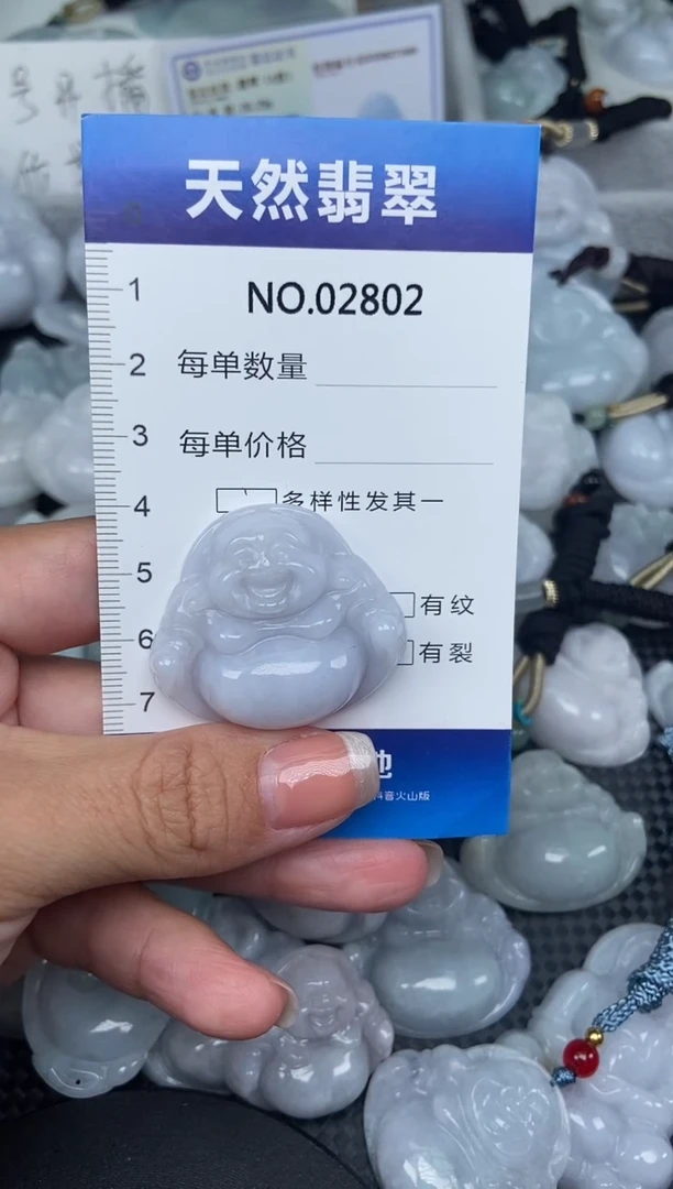 颈饰未镶嵌翡翠纯天然A货翡翠2802