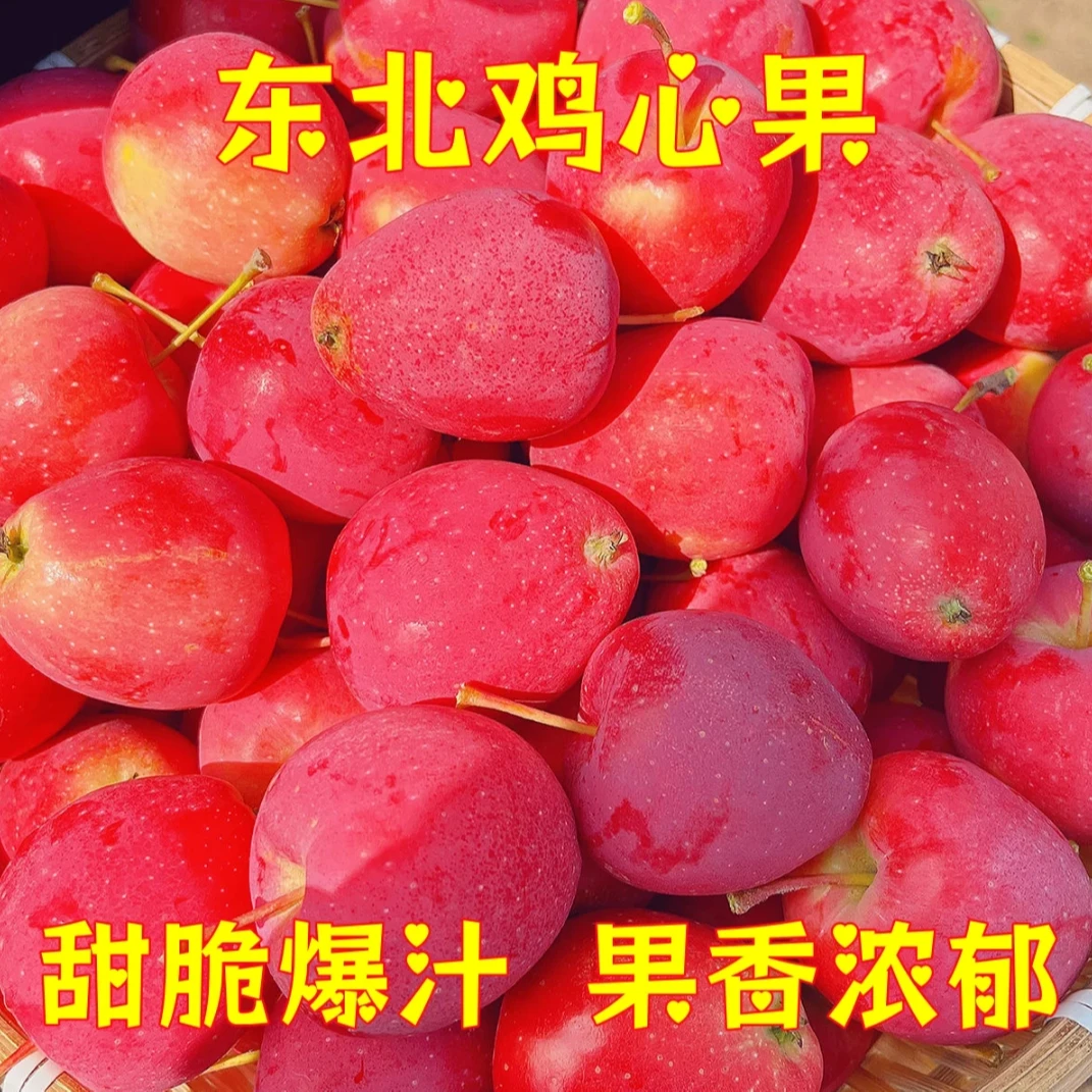 鸡心果海棠果新鲜应季水果现摘现发脆甜多汁包邮小苹果粉苹果