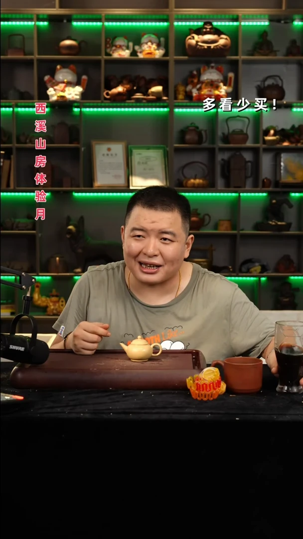 茶壶紫砂雷**弟紫砂壶紫砂壶紫砂壶