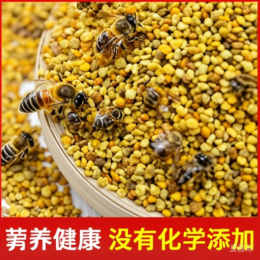 油菜花粉纯天然喂蜂养蜂中锋专用花粉杂粉颗粒状蜜蜂饲料