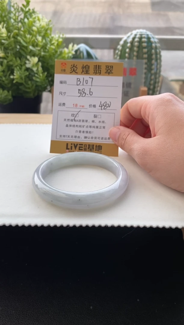 未镶嵌手镯翡翠58.7圈口编码B107